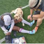 This is a photo of Alice, her guide dog and her track coach getting ready for the event